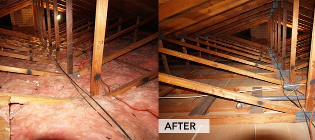 Check out for a Clean and Effective Attic Insulation Removal
